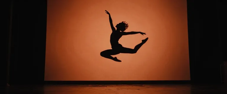Silhouette - full static